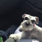Gail Bricker - @glbricker11 - Instagram