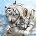 Gail Britt - Facebook