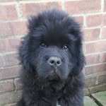 Gail Browning - @gail_0568 - Instagram