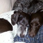 Gail Burch - @gburch26 - Instagram
