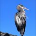 Gail Burch - Facebook