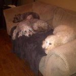 Gail Burnett - @gailburnett - Instagram