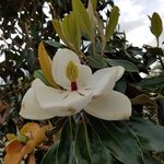 Gail Burnett - @gailburnett3 - Instagram