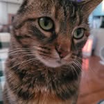 Gail-Mike Burnett - @gailburnett7 - Instagram