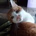 Gail Burt - Facebook
