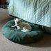 Gail Buss - Facebook
