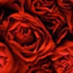 Gail Butcher - @butcher2269 - Instagram