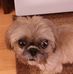 Gail Calkins - Facebook