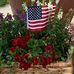 Gail Capps - Facebook