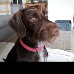 Gail Capps - @dora.theexplorer2020 - Instagram