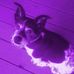 Gayle Capps - Facebook