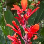 Gail Carman - @gcnan - Instagram