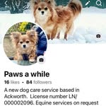Gail Carmichael - @paws_a_while_dog_boarding_ - Instagram