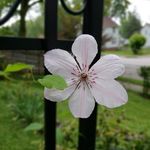 Gail Carmichael - @carmichaelgail - Instagram