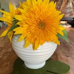 Gail Case - @baking4joygc - Instagram