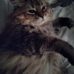 Gail Catalano - @catalanogail - Instagram