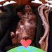 Gale Cates - Facebook