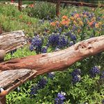 Gail Cato - @dgailcato - Instagram