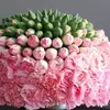 gailmceciliaf - @gailmceciliaf - TikTok