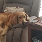 gail chaney - @303rockygirl - Instagram