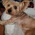 Gail Cheney - Facebook