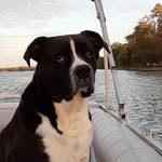 Gail Cherry-Bechtel - @cherrybechtel - Instagram