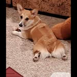 Gail Chovan Kluver - @gailkluver - Instagram