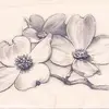 Gail Schow - @gail.schow - TikTok