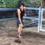 Gail Chuter - @gailchuter - Instagram