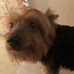 Gail Clanton - Facebook