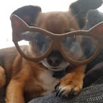 Gail Clappison - @gailclappison3 - Instagram