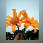 gail_clear - @clerity_9 - Instagram