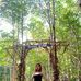 Wjv Gail Clear - Facebook
