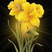 Gail Kleckner - Facebook