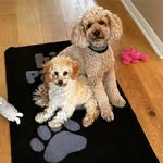 Gail Clements - @gailclements23 - Instagram