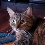 Gail Growden-Coates - @scotiagirl213 - Instagram