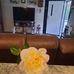 Gale Parker Coe - Facebook