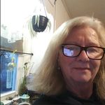 Gail Coffey-Blanch - @coffeyblanch - Instagram