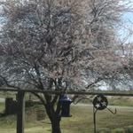 Gail Baker Coffman - @bakercoffman - Instagram