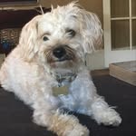 Gail Raabe Coffman - @gailraabecoffman - Instagram