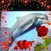 Gail Collard - Facebook