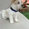 Gail Mary Colley - @gail.mary.colley - TikTok