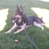 Abigail colvin - @abigail.colvin4ever - TikTok
