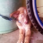Jeanne Gail Concepcion - @swimdy2012 - Instagram