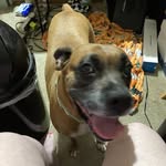 Gail Conklin - @conklin.gm - Instagram