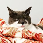 Gail Conklin - @gail.conklin.779 - Instagram