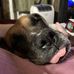 Gail Conklin - Facebook