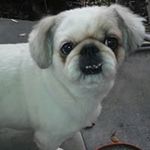 Gail Connell - @gmchoffman3 - Instagram