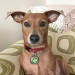 Gail Conner - @gailconner073 - Instagram