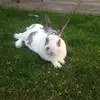 gailconstance1 - @gailconstance1 - TikTok